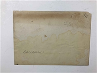 Collection of Six Sepia Toned Photographs of P.J. Berckmans Nursery in Augusta, Georgia