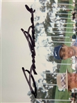 Sam Snead Signed Original Photograph with Tiger Woods JSA #CI07004