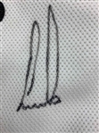 Ernie Els Signed Honda Classic Caddy Bib JSA #CD21335