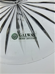 Galway Irish Crystal Lidded Trophy Urn World Pro-Am Champion Professional