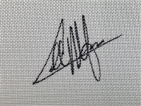 Collin Morikawa Signed 2026 The Players Flag JSA #CL34072