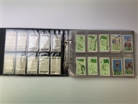 An Assortment of Vintage Golf Cigarette and Tobacco Cards in Album