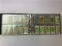An Assortment of Vintage Golf Cigarette and Tobacco Cards in Album