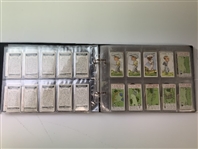 An Assortment of Vintage Golf Cigarette and Tobacco Cards in Album