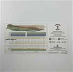 Jordan Spieth Signed Harbour Town Sea Pines Scorecard JSA ALOA