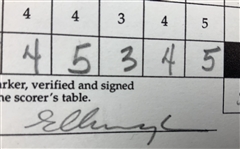 Mize, Elkington, Cink & Seven Others Signed 1999 Buick Invitational Official Scorecards