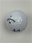 A Trio of Racecar Drivers incl. Austin Dillon Signed Golf Balls JSA ALOA