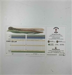 Viktor Hovland & Patrick Cantlay Signed Harbourtown Scorecards JSA ALOA